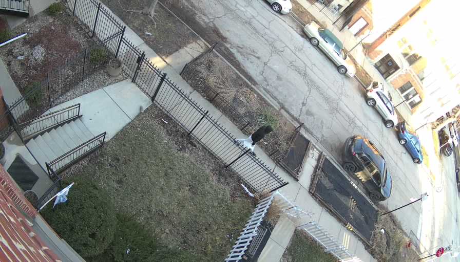 Reolink Camera Two_01_Reolink Home Hub One_20260318180747.jpg